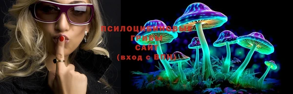 дживик Беломорск