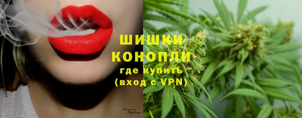 винт Богданович