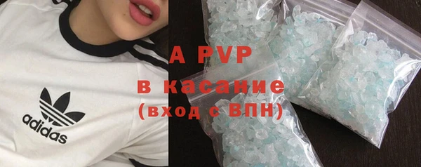 винт Богданович