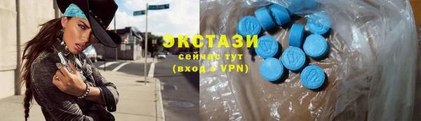 дживик Богородск