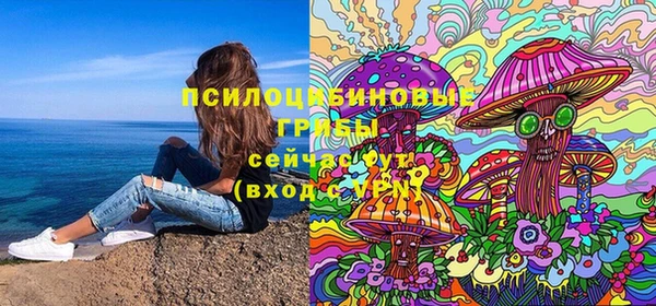 винт Богданович