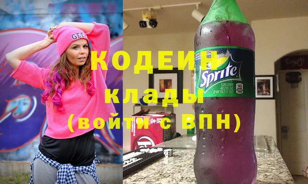 дживик Богородск