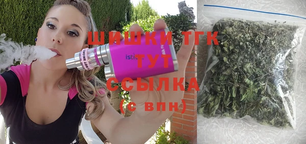 винт Богданович