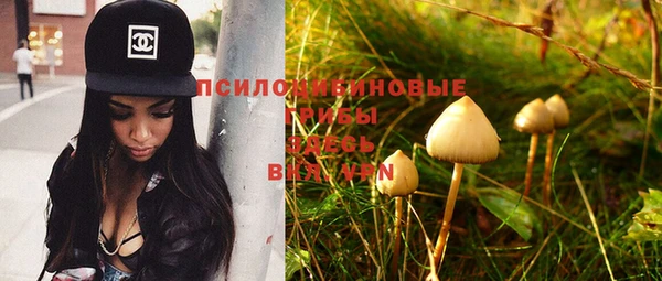 винт Богданович