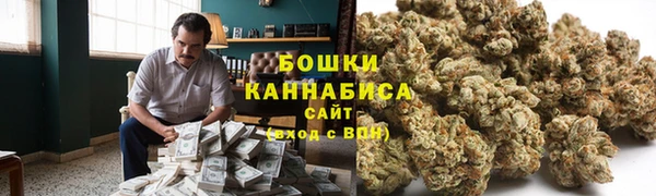 дживик Богородск