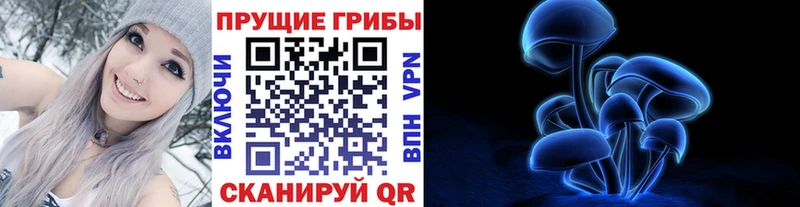 Купить где  Сердобск  Галлюциногенные грибы Psilocybe 